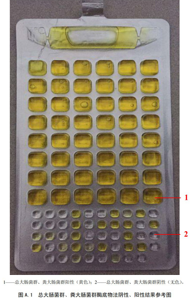 总大肠菌群、粪大肠菌群酶底物法阴性、阳性结果参考图